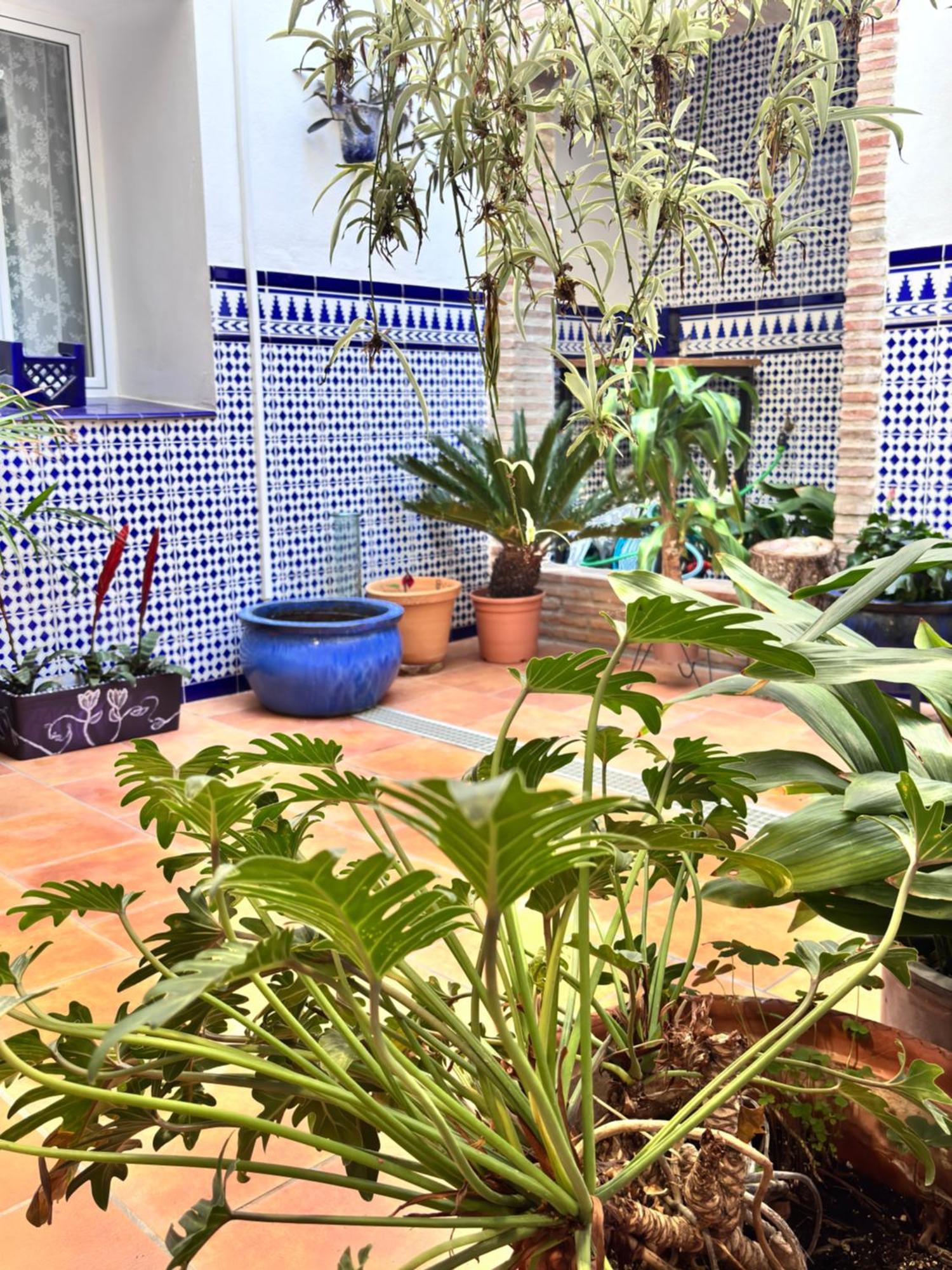 Shanti'S Andalusian Rooms Малага Екстер'єр фото
